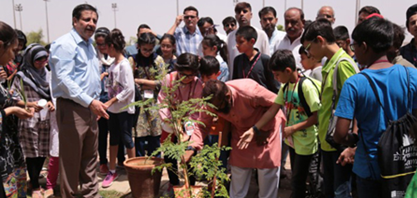 Tree plantation drive at the IBA