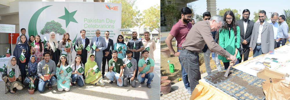 A Tree Plantation Drive at the IBA