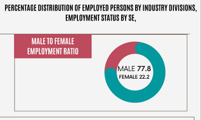 Percentage Distribution of Employed persons by Industry Divisions, Employment Status by Sex - Infographics by Fabiha Shahid