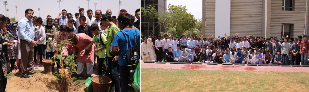 Tree plantation drive at the IBA