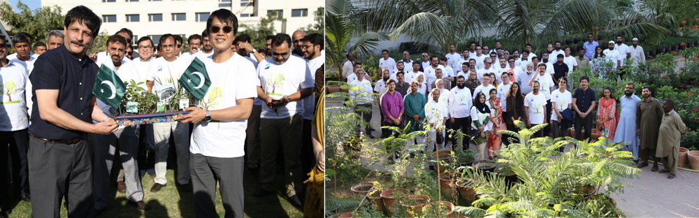 Tree Plantation Drive held at the IBA, Karachi